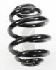 SPIDAN 85735 Coil Spring